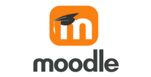 Moodle CSS